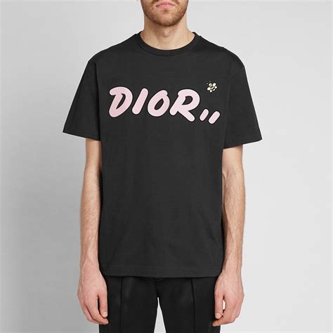 dior kaws tee